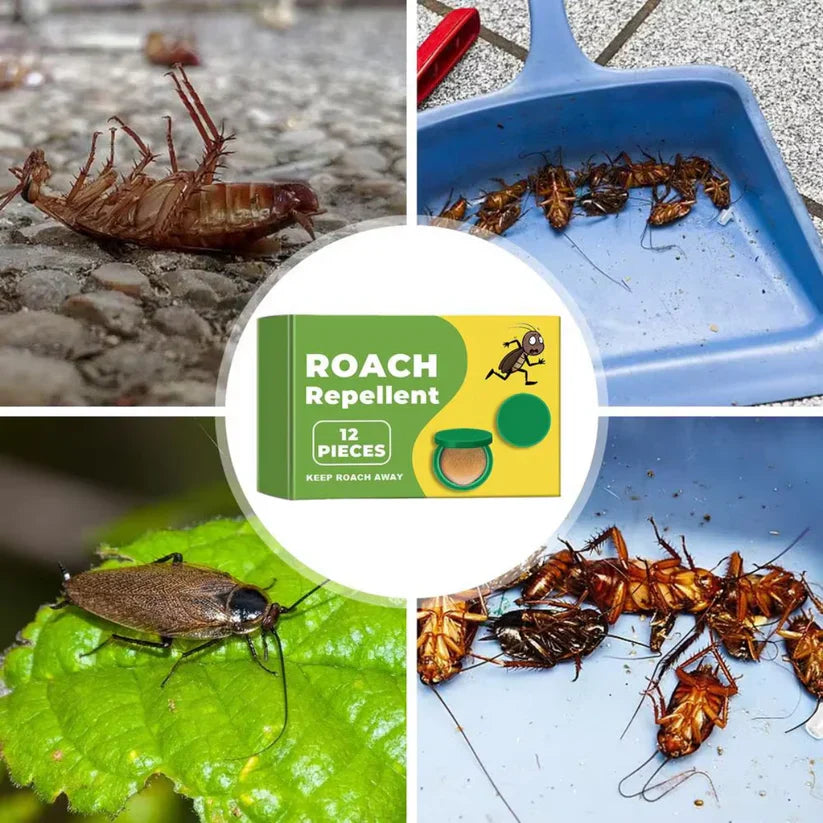 Juxek™ Cockroach repellent for home, dormitory and kitchen, strong cleaning and killing cockroaches