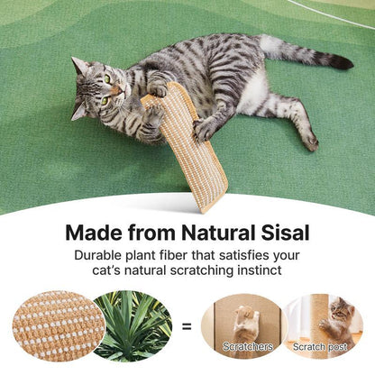 🐈 Interactive Catnip Chew Toy, Soft Material Scratching and Kicker Cat Toys for Indoor Kittens