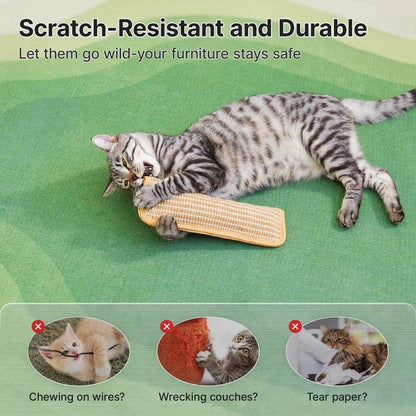 🐈 Interactive Catnip Chew Toy, Soft Material Scratching and Kicker Cat Toys for Indoor Kittens