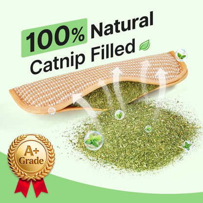 🐈 Interactive Catnip Chew Toy, Soft Material Scratching and Kicker Cat Toys for Indoor Kittens